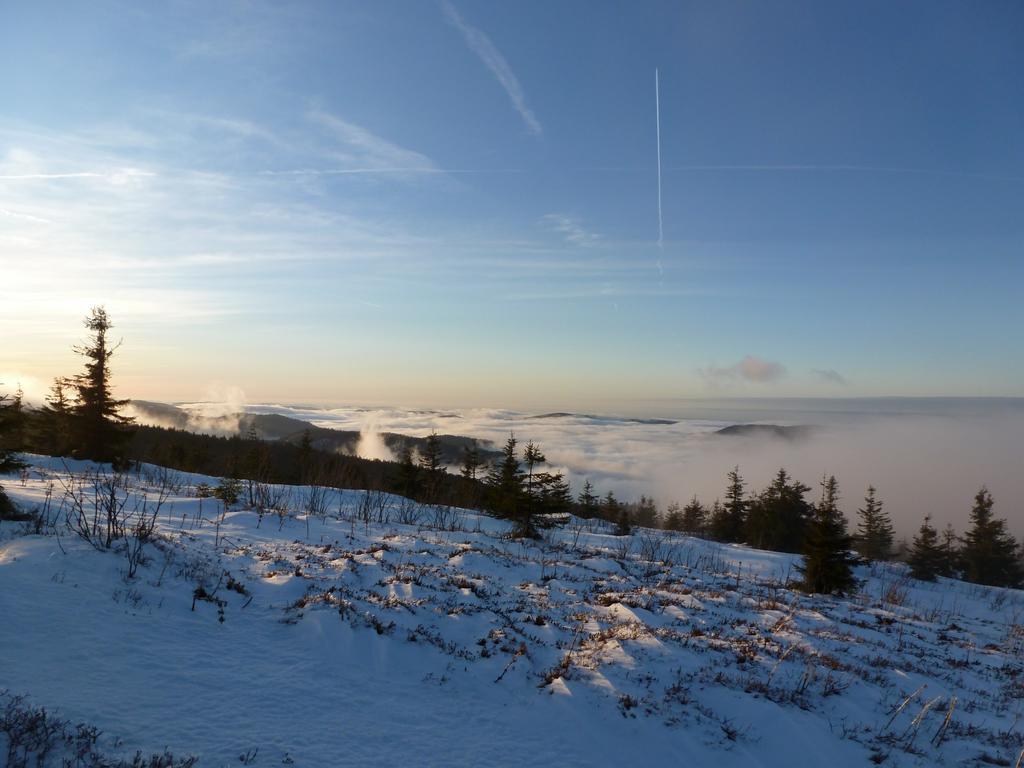Chalet Les Bouquetins *
